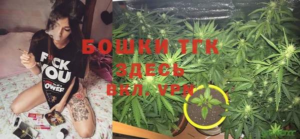 прущие крисы Покачи