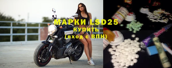 шишки Абинск