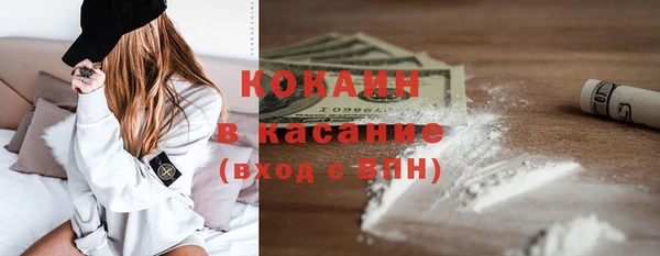 шишки Абинск