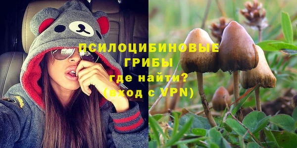 шишки Абинск