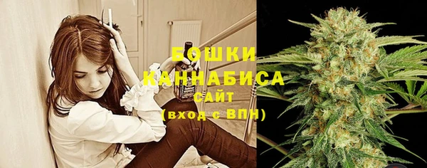 шишки Абинск