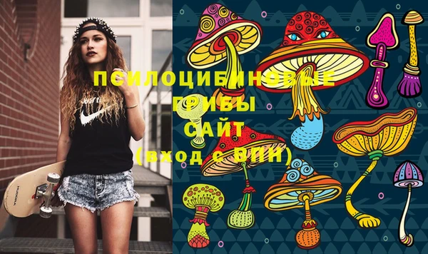 шишки Абинск