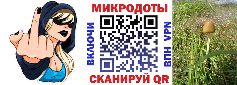 Галлюциногенные грибы ЛСД  Железноводск 