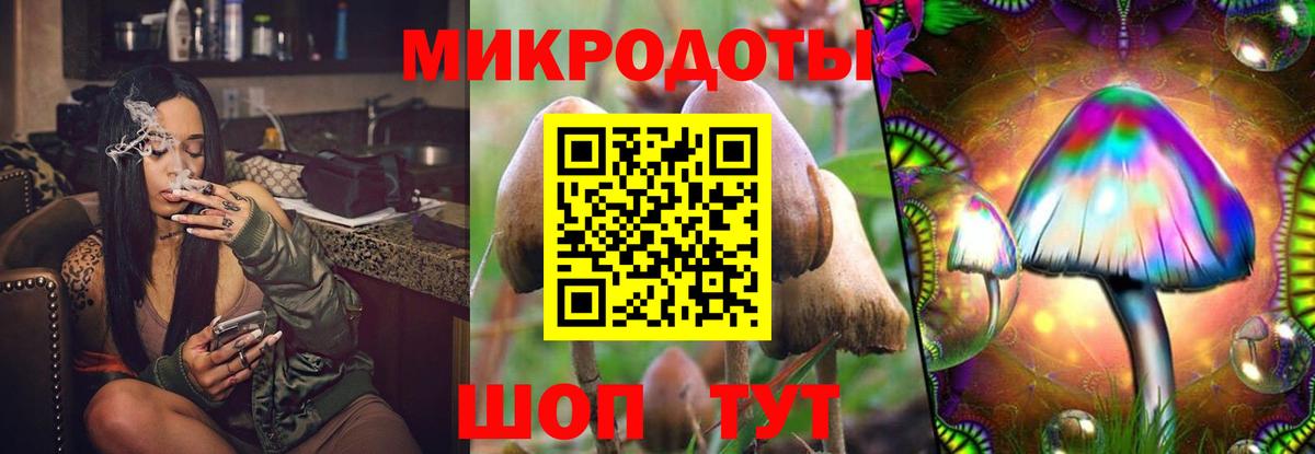 Железноводск  Псилоцибиновые грибы GOLDEN TEACHER  купить наркоту  Вход с VPN  Галлюциногенные грибы Psilocybe 